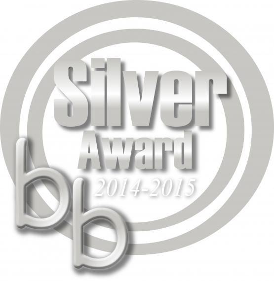 Brio - 2015 BizzieBaby Silver Winner